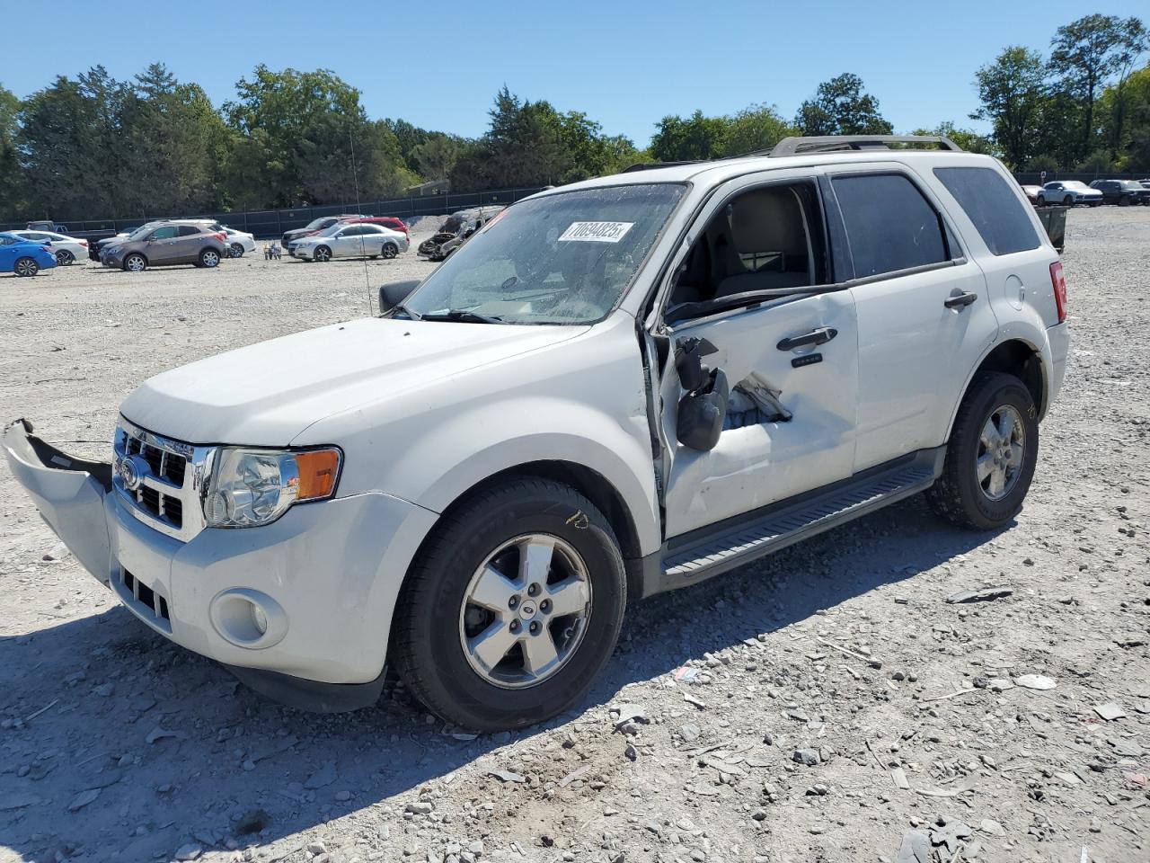 2011 Ford Escape xlt XLT