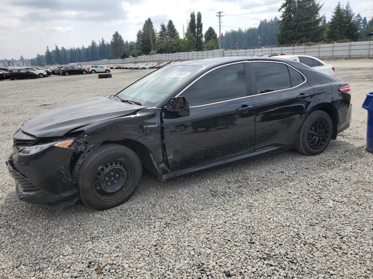 2019 Toyota Camry le LE