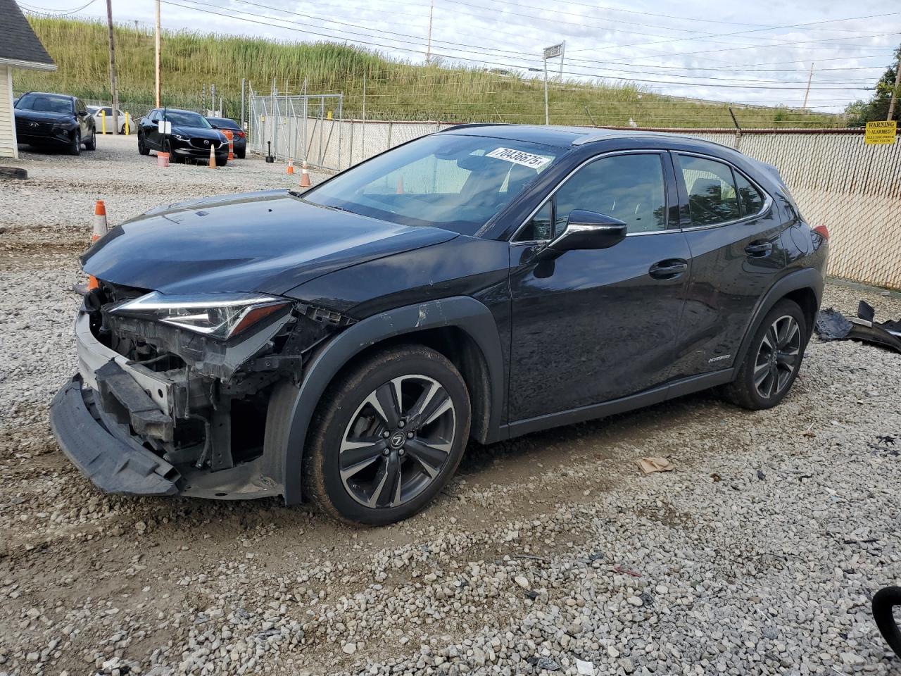 2019 Lexus Ux 250h 250H