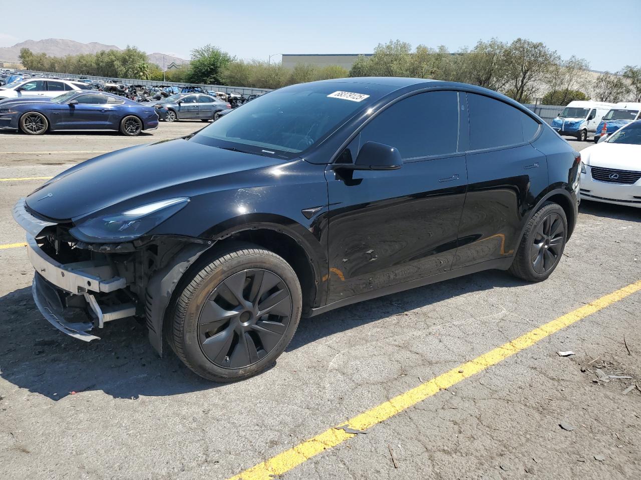 2025 Tesla Model y