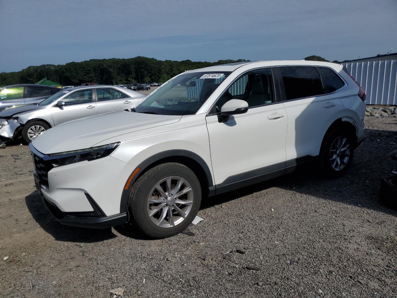 2023 Honda Cr-v exl EXL