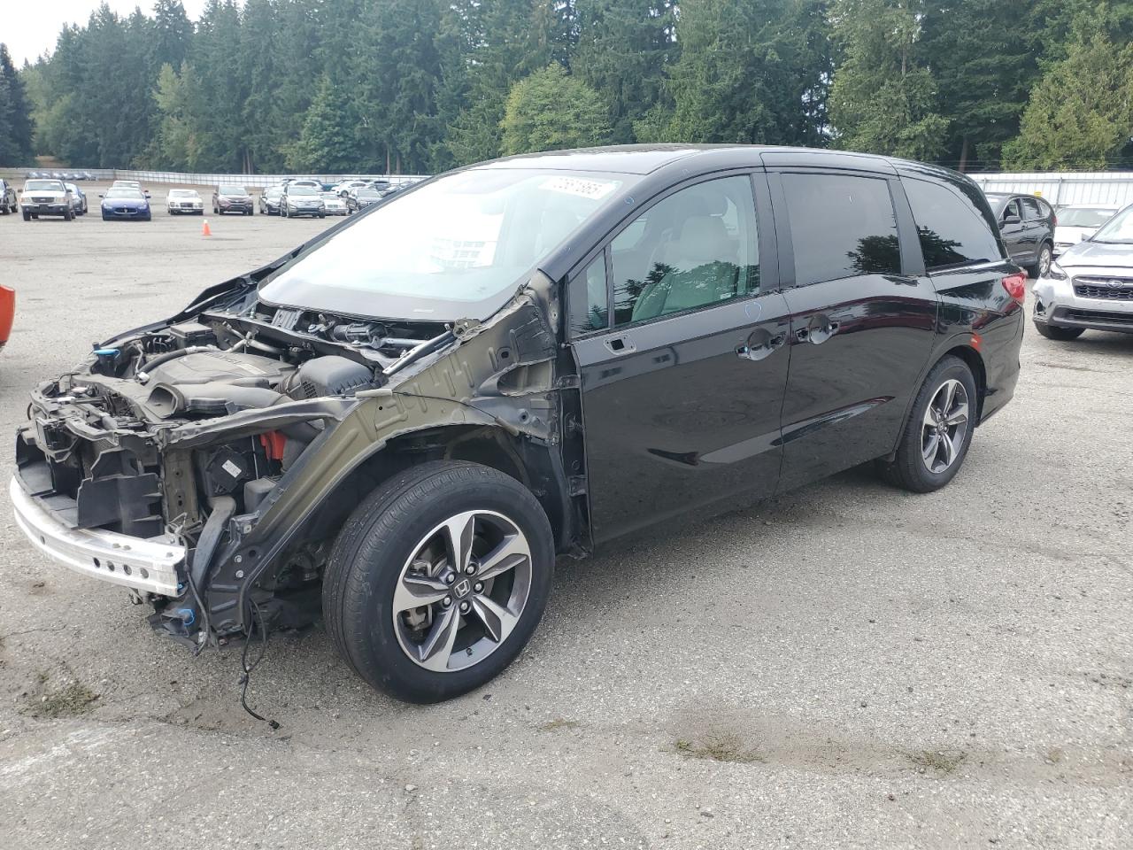 2019 Honda Odyssey to TOURING