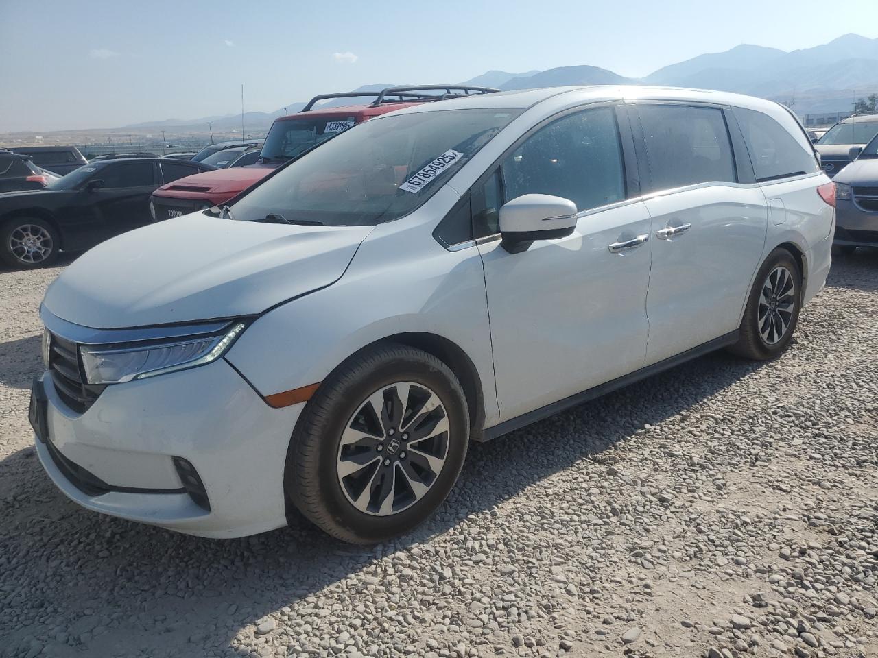 2021 Honda Odyssey exl EXL