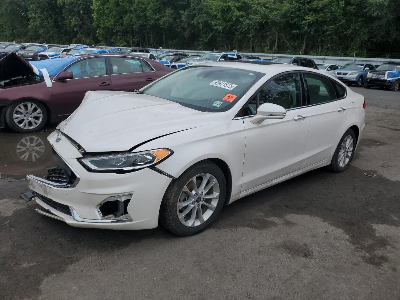 2020 Ford Fusion sel SEL