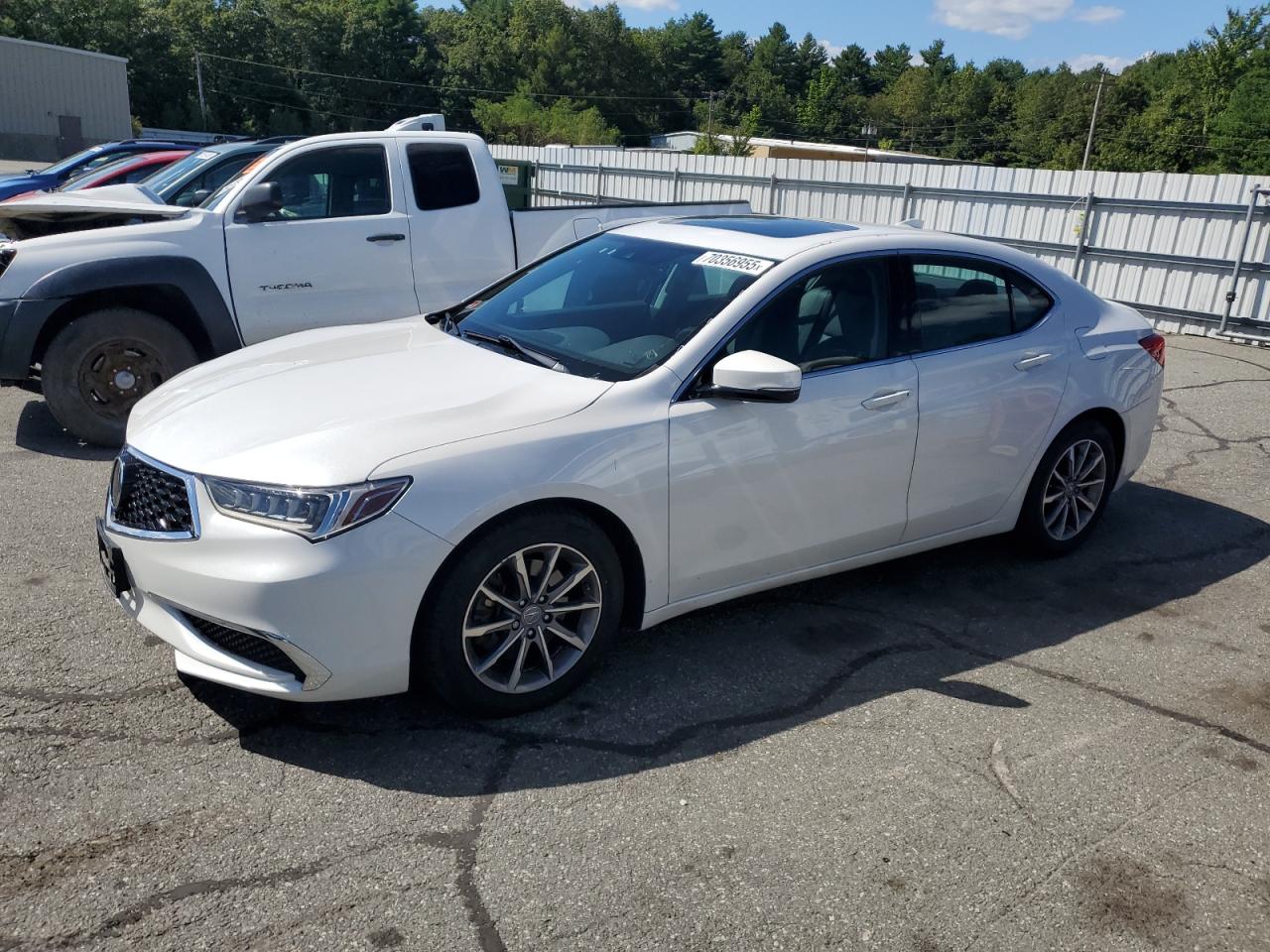 2019 Acura TLX