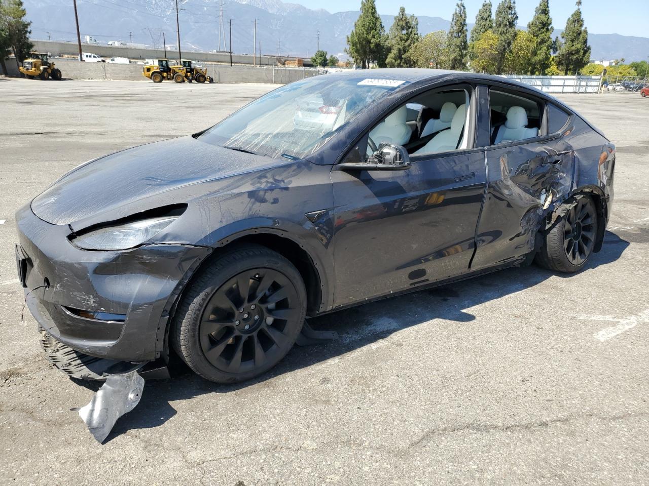 2025 Tesla Model y
