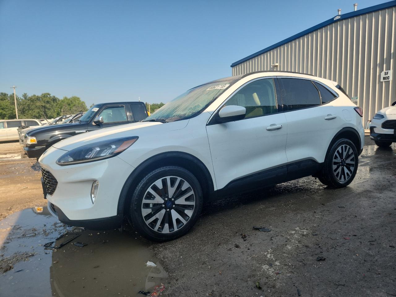 2020 Ford Escape sel SEL