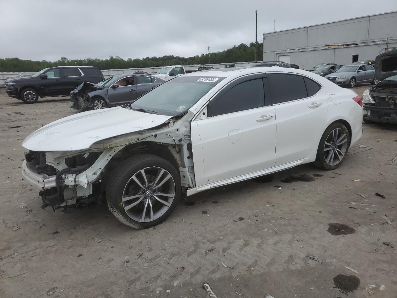 2019 Acura TLX