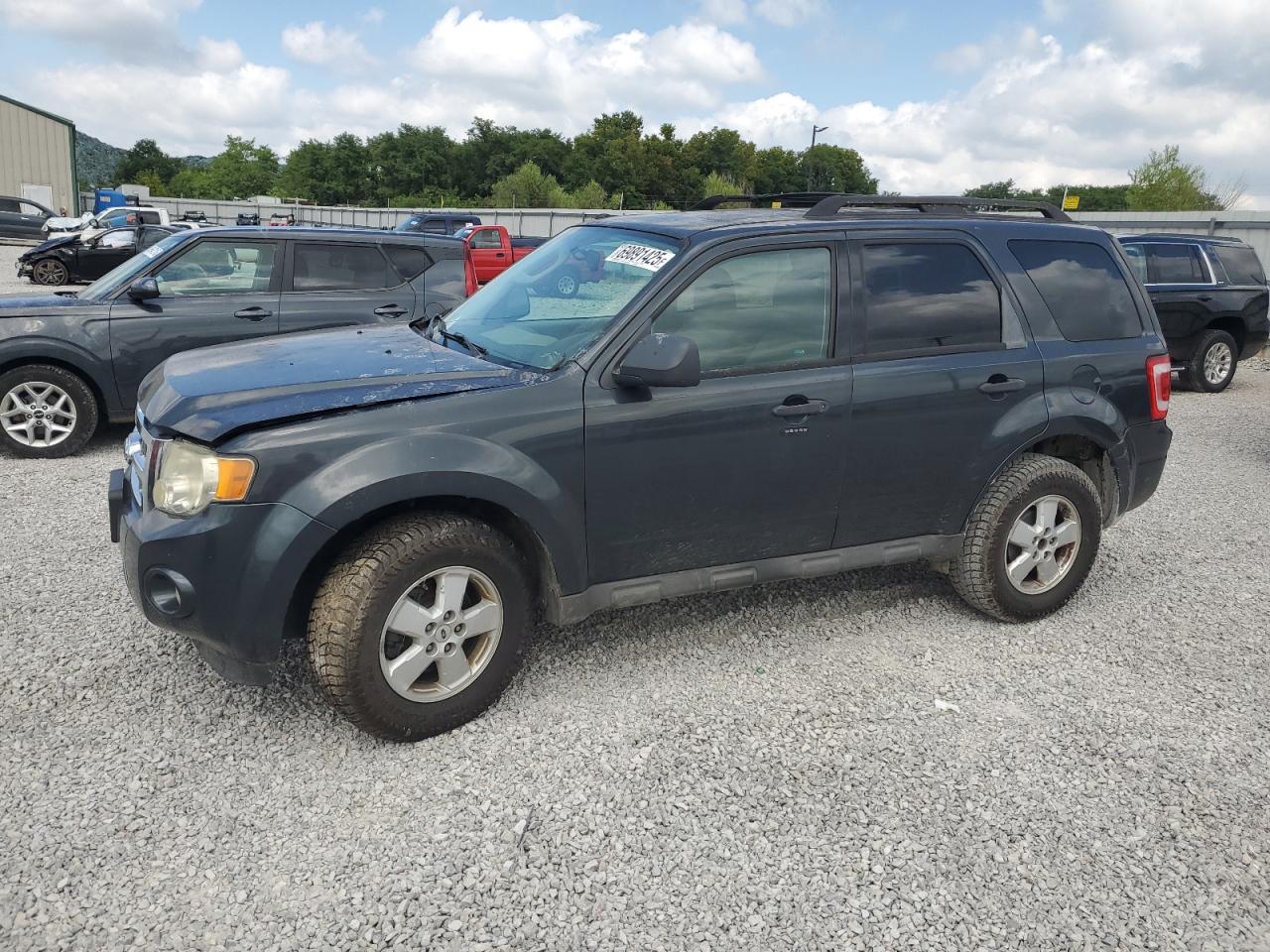 2009 Ford Escape xlt XLT