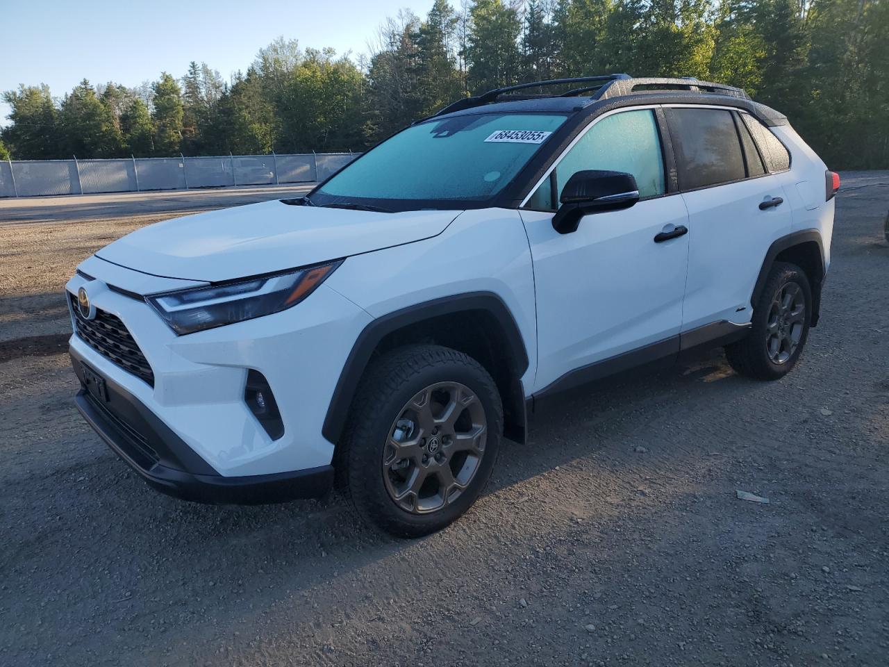 2025 Toyota Rav4 xle XLE