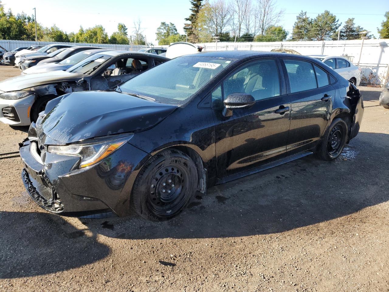 2024 Toyota Corolla le LE