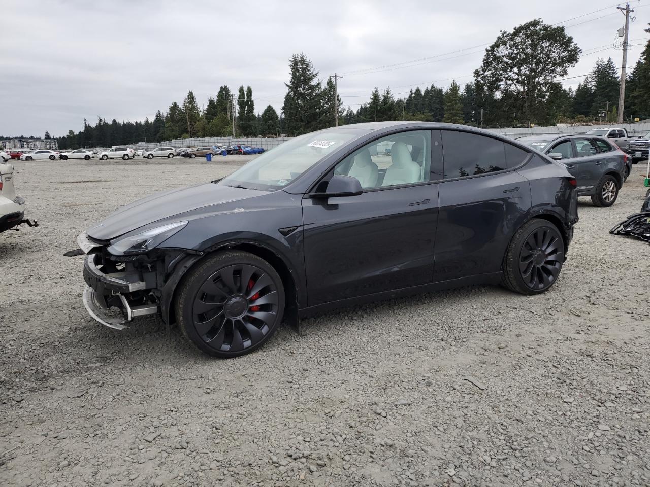 2025 Tesla Model y