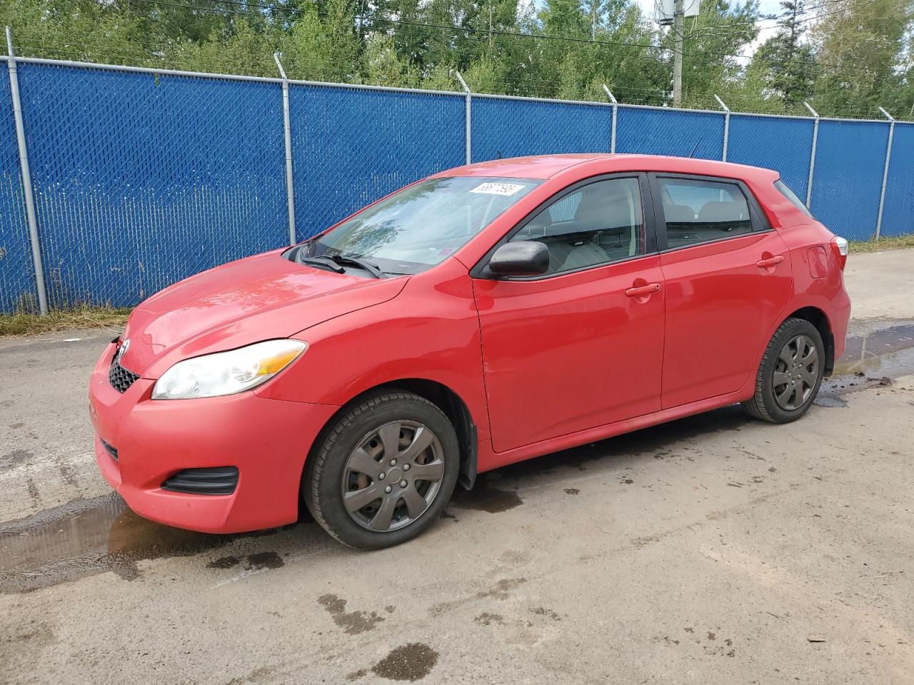 Toyota Corolla ma