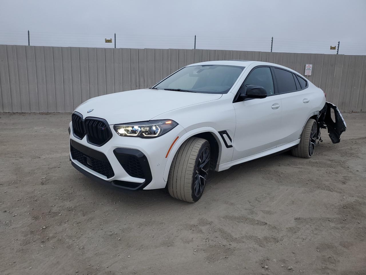 2022 BMW X6