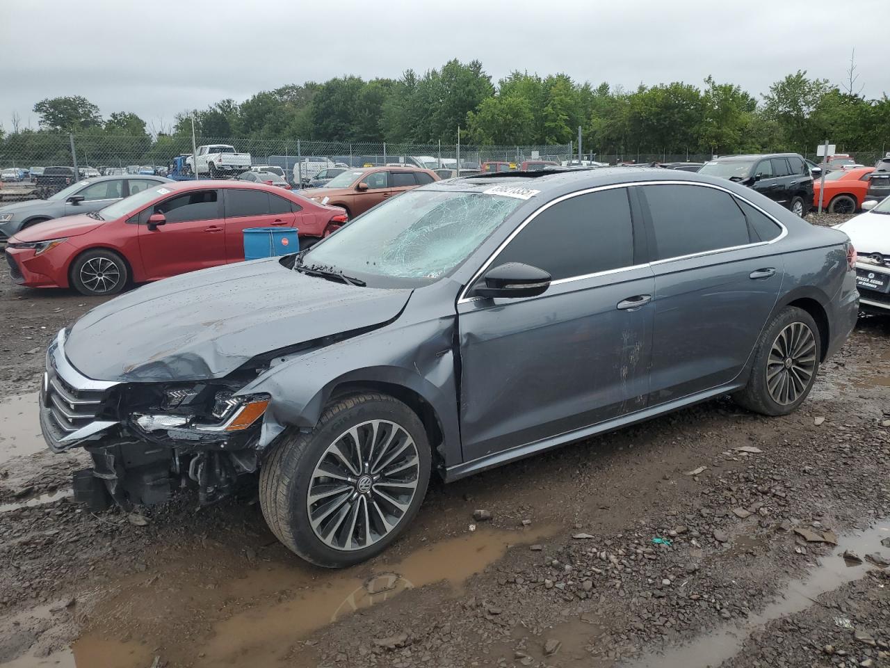 Volkswagen Passat limited edition
