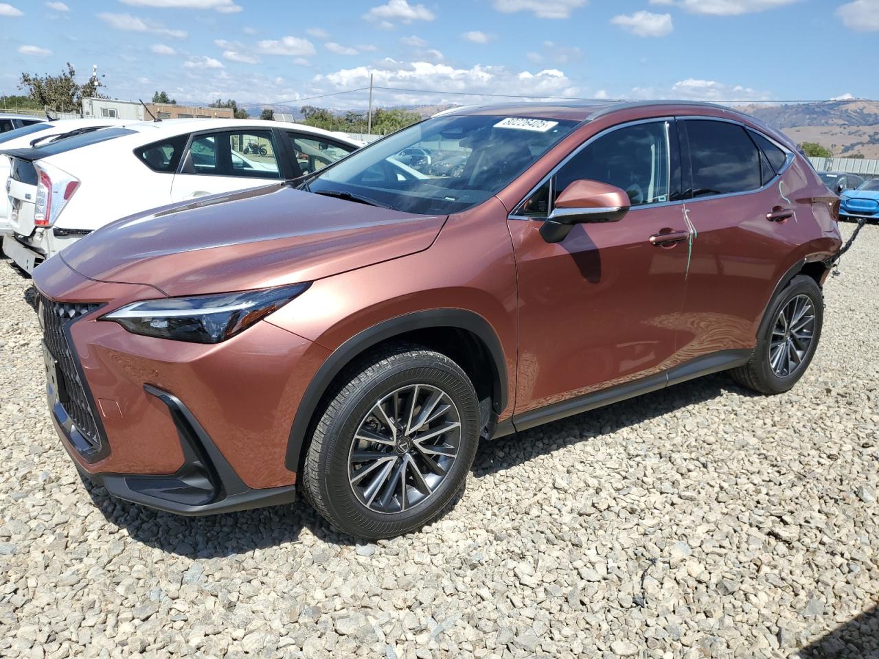 2025 Lexus Nx 350h ba 350H BASE