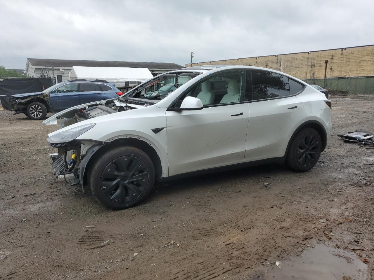 2024 Tesla Model y