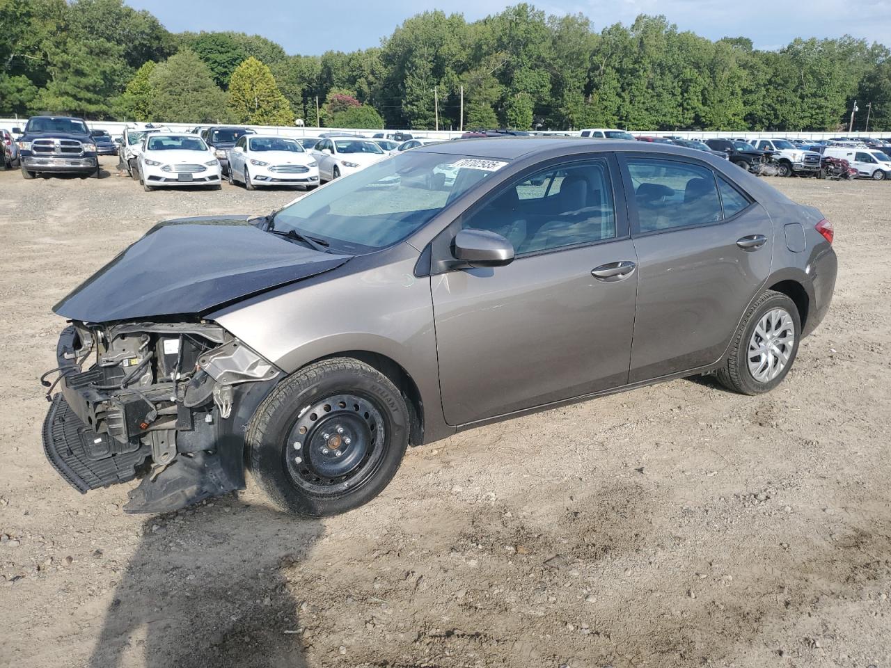 2019 Toyota Corolla l L