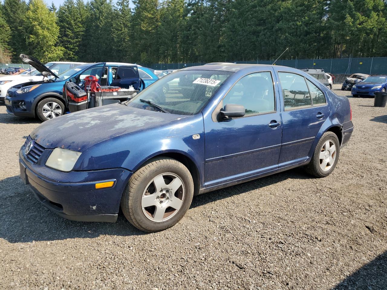 Volkswagen Jetta gls tdi