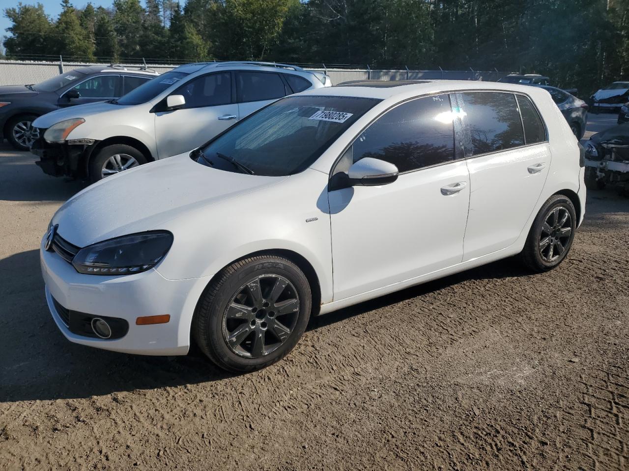 2013 Volkswagen Golf