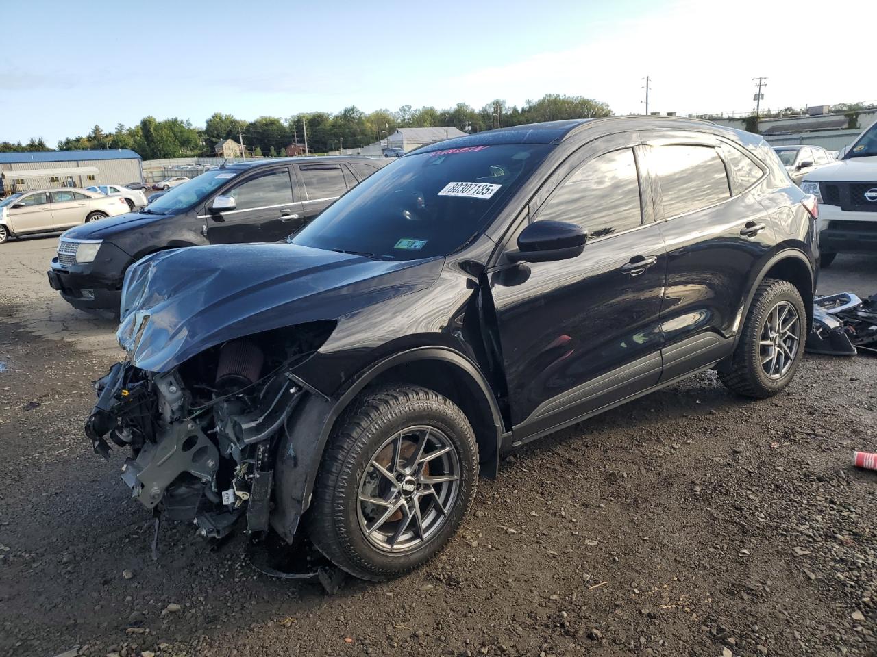 2022 Ford Escape sel SEL