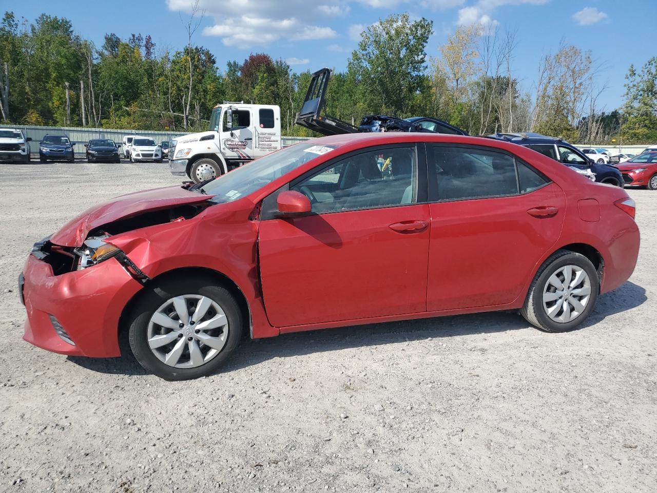 Toyt Corolla l