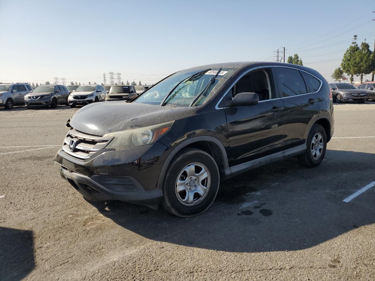 2013 Honda Cr-v lx LX