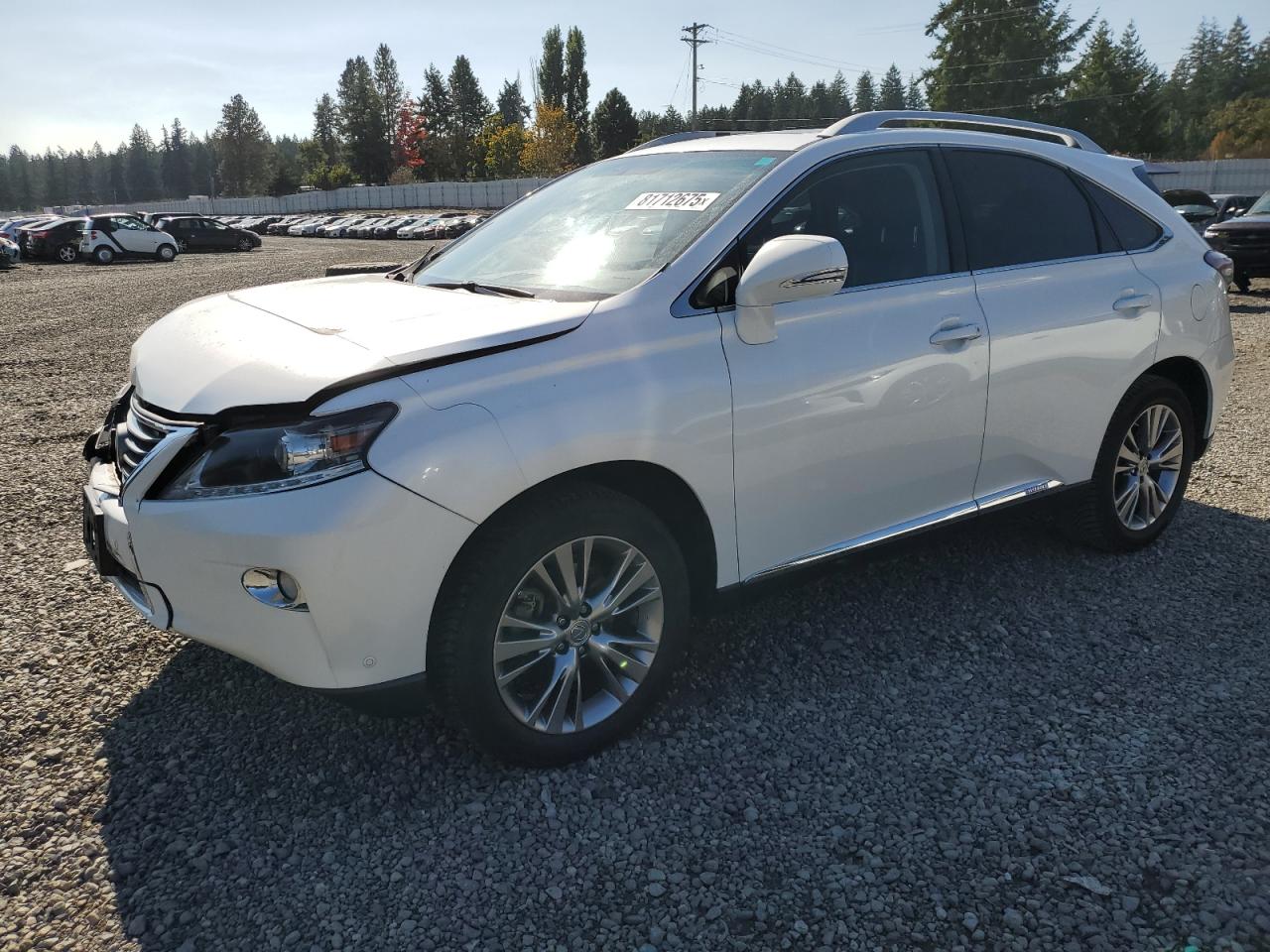 2013 Lexus Rx 450h 450H