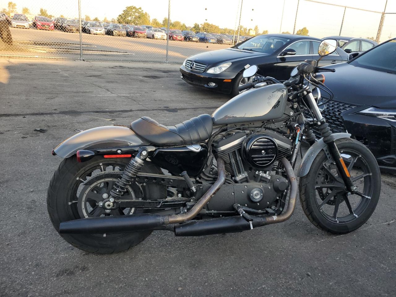 2022 Harley-davidson Xl883 n N