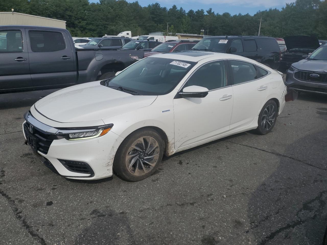 2019 Honda Insight