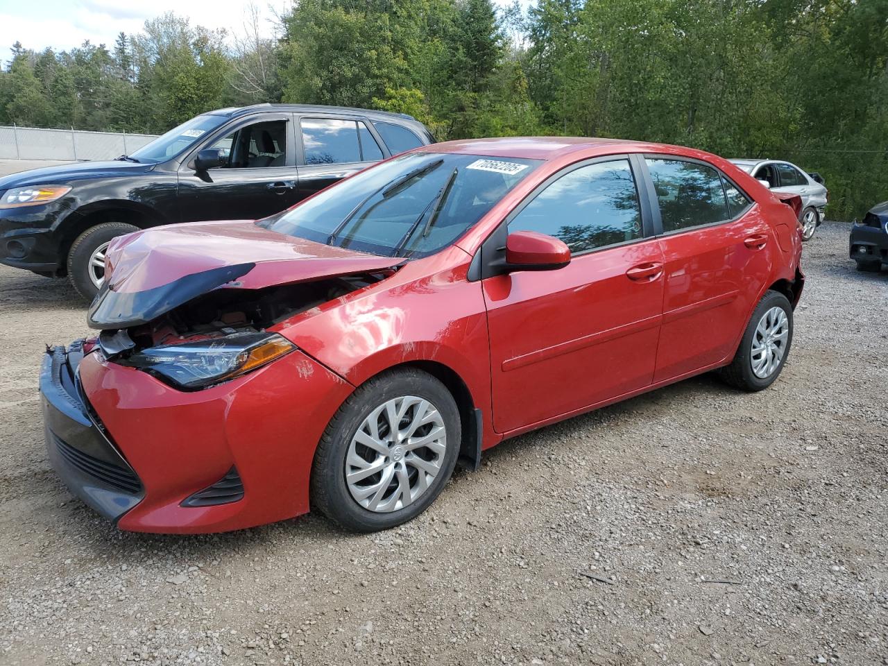 2019 Toyota Corolla l L