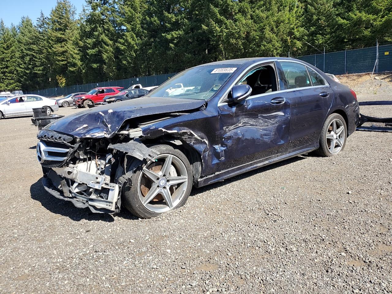 2015 Mercedes-benz C 300 300