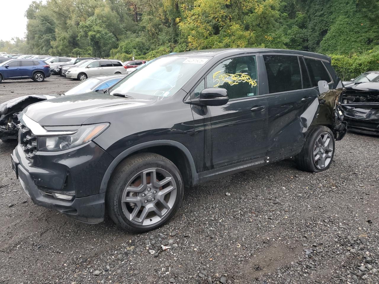 2023 Honda Passport