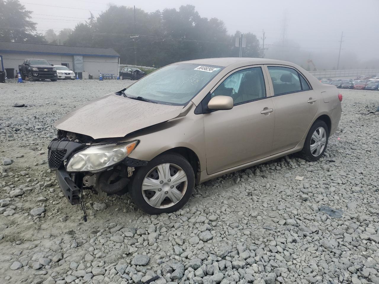 2010 Toyota Corolla ba BASE