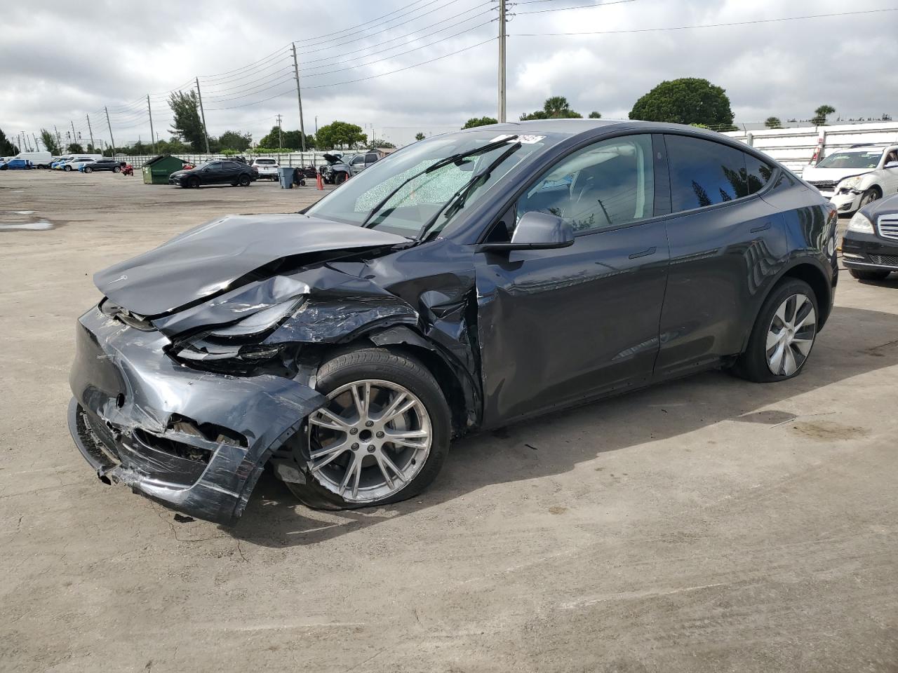 2024 Tesla Model y