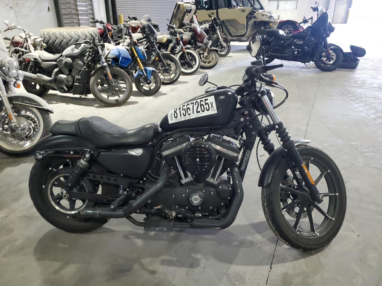 2021 Harley-davidson Xl883 N