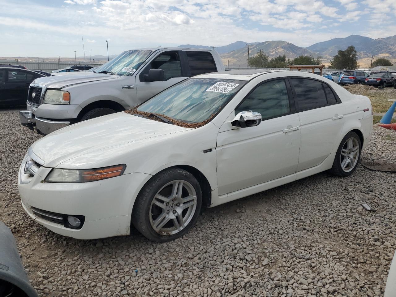 2008 Acura Tl