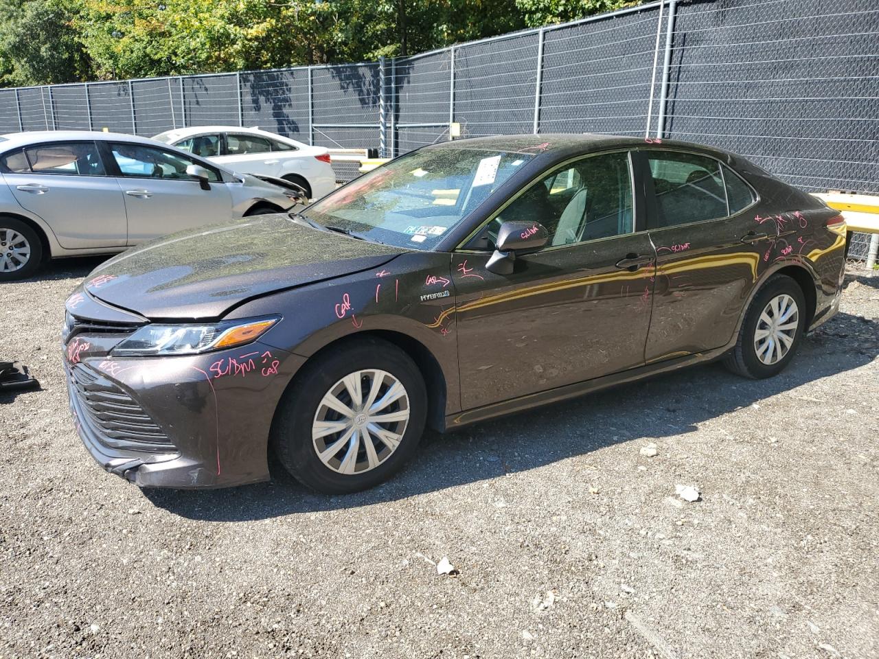 2019 Toyota Camry le LE