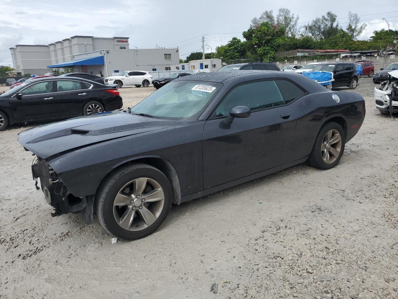 2017 Dodge Challenger sxt SXT