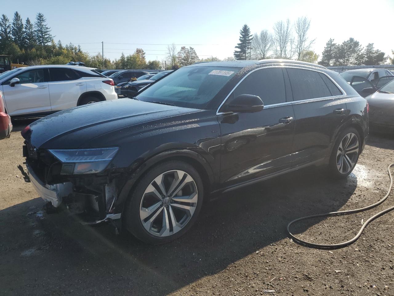 2019 Audi Q8 prestig PRESTIGE S-LINE