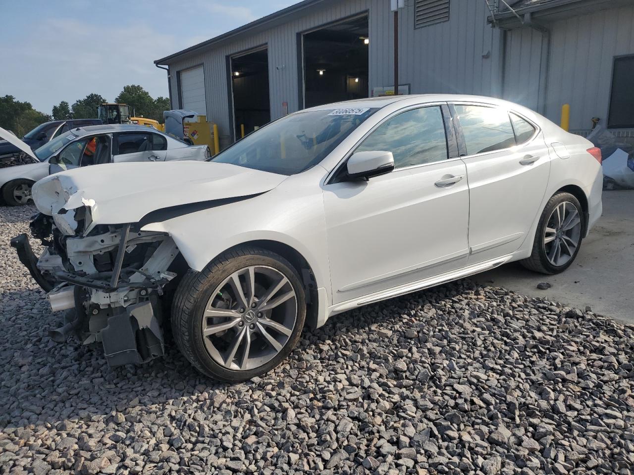 2019 Acura TLX