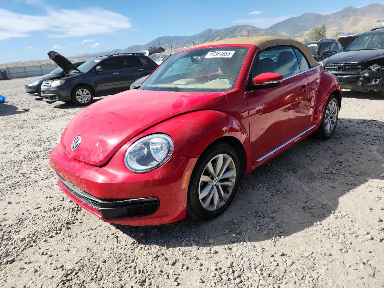 Volkswagen Beetle