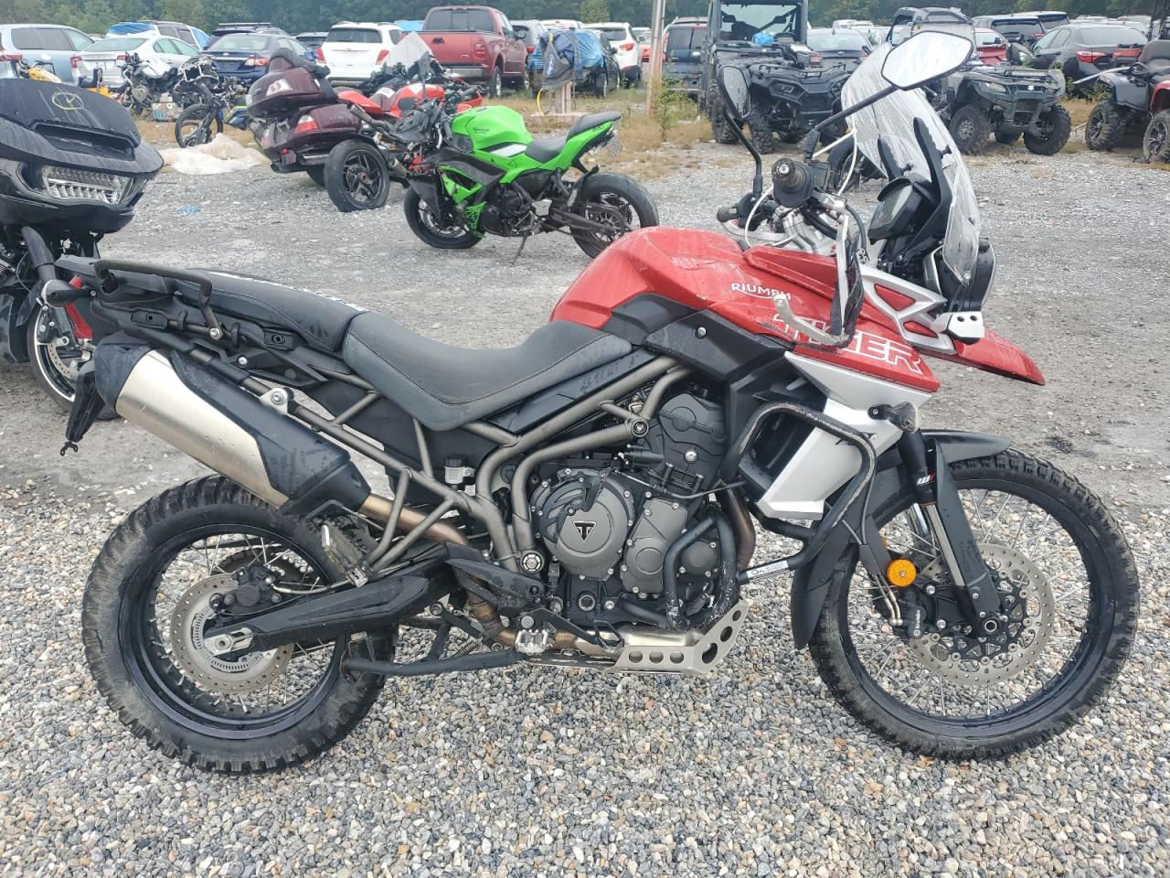 2018 Triumph motorcycle Tiger 800