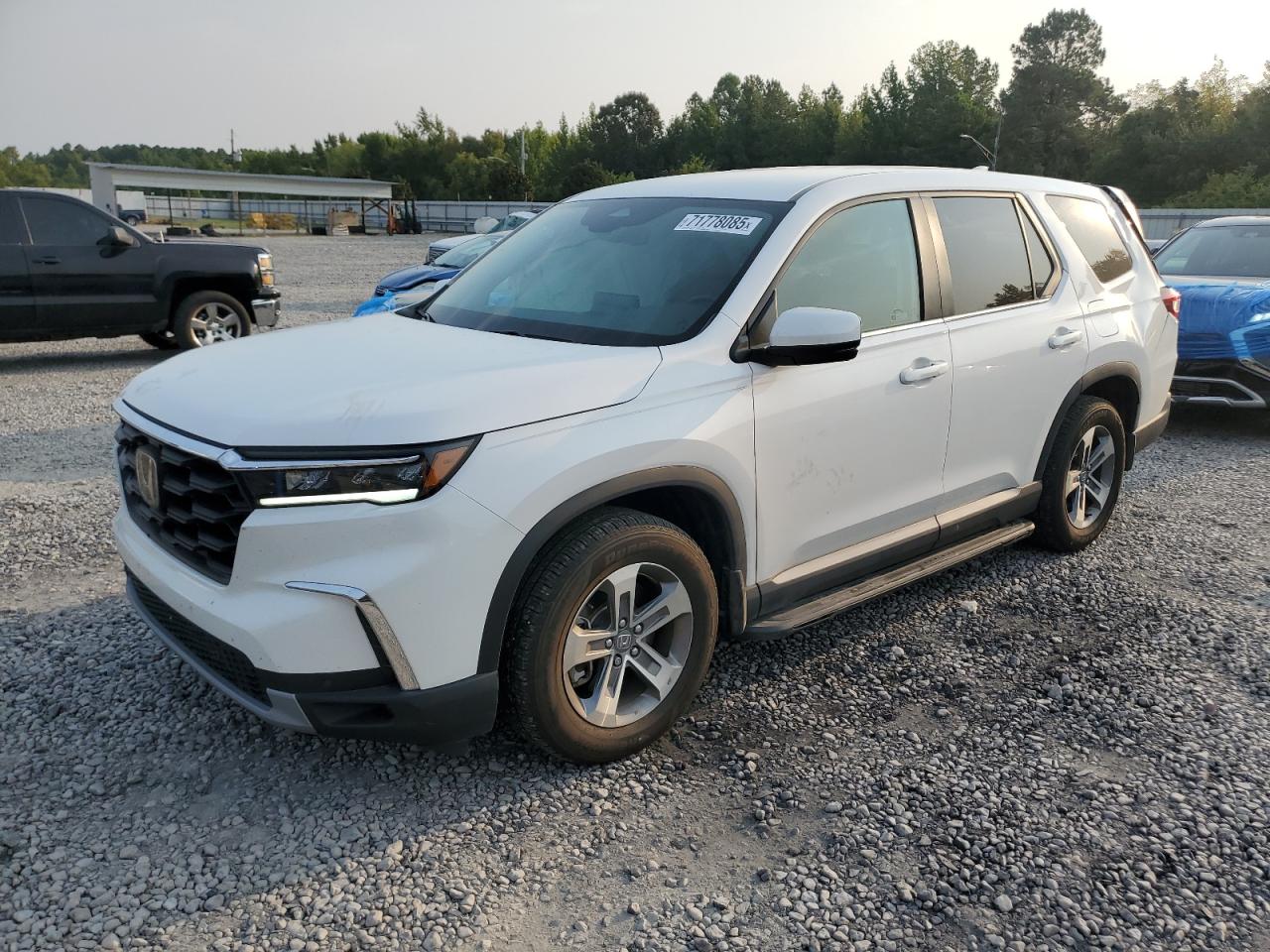 2024 Honda Pilot exl EXL