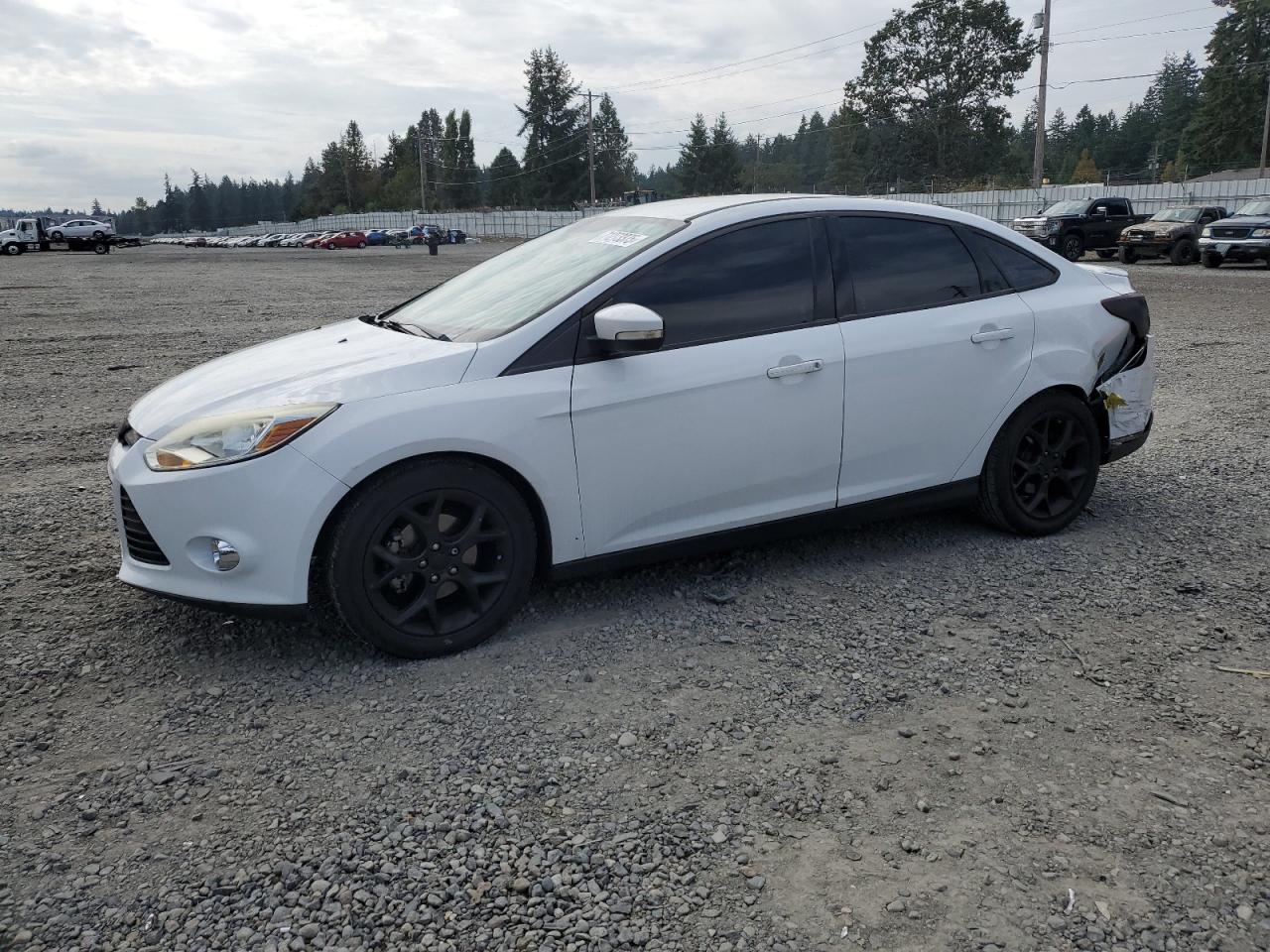 2014 Ford Focus se SE