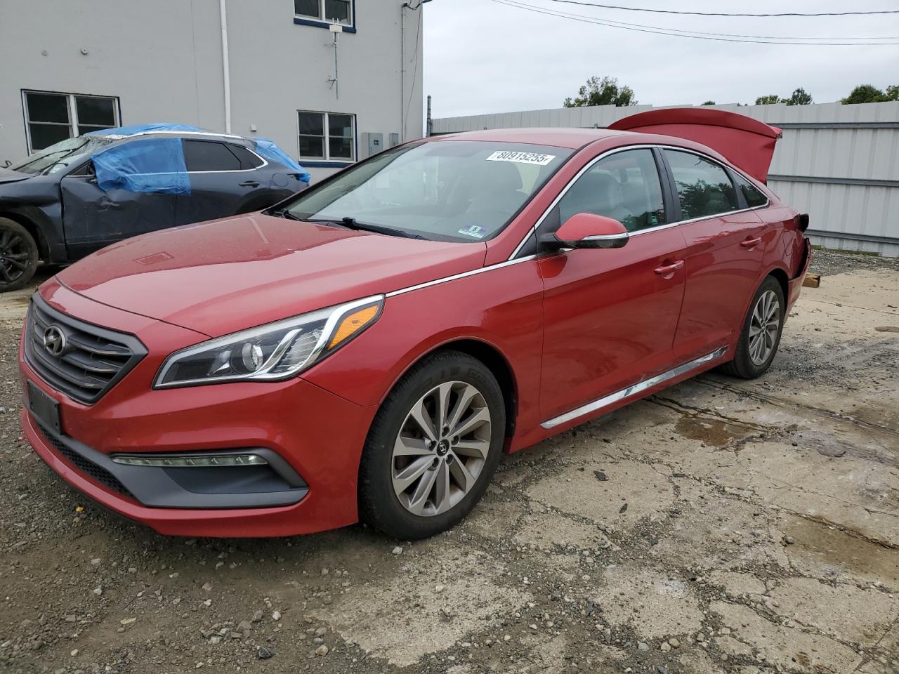 2017 Hyundai Sonata spo SPORT