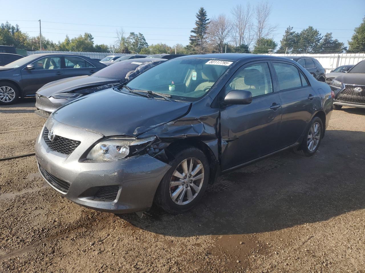 2010 Toyota Corolla ba BASE