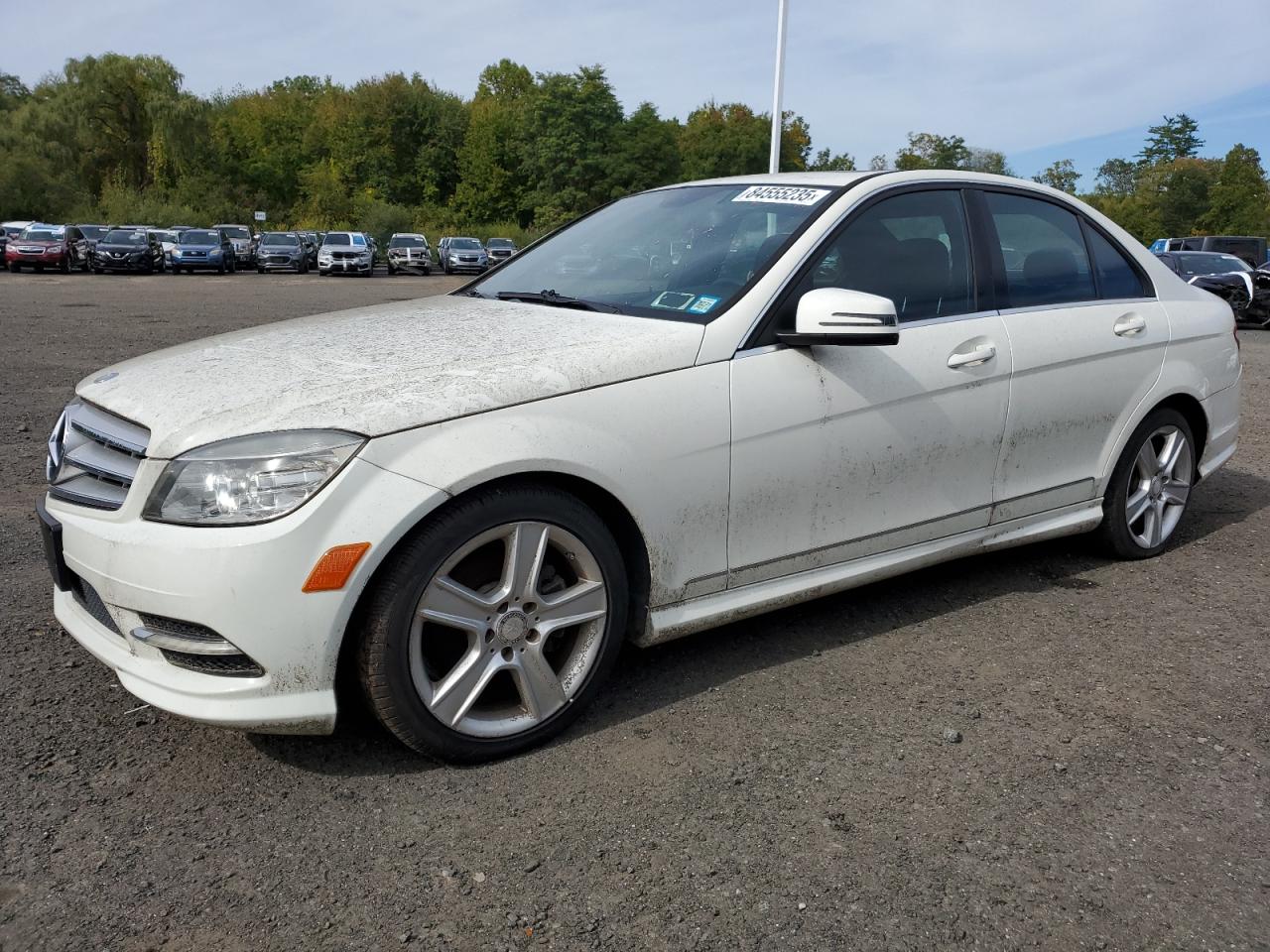 2011 Mercedes-benz C class C 300