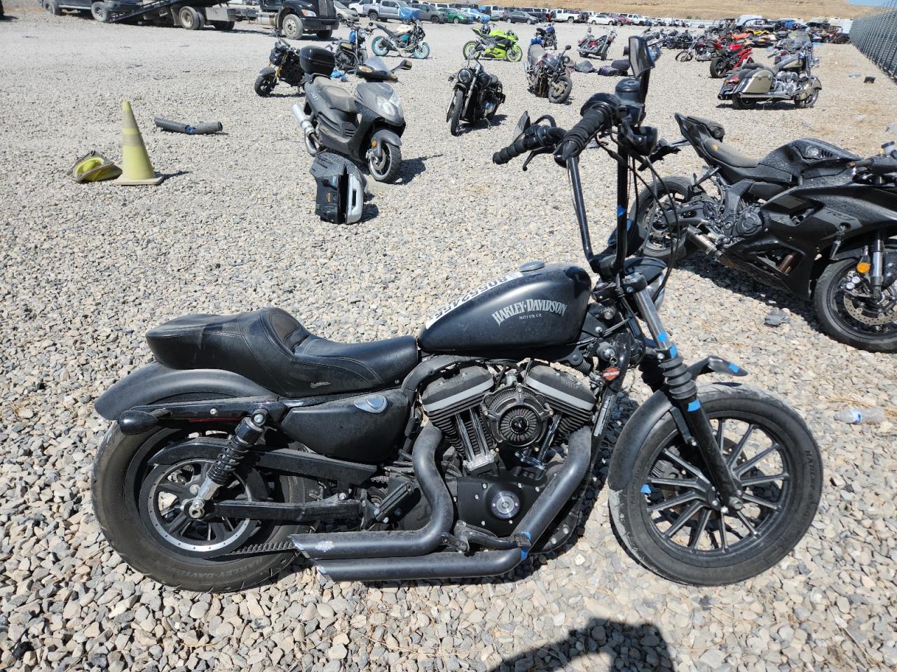 2013 Harley-davidson Xl883 iron IRON 883