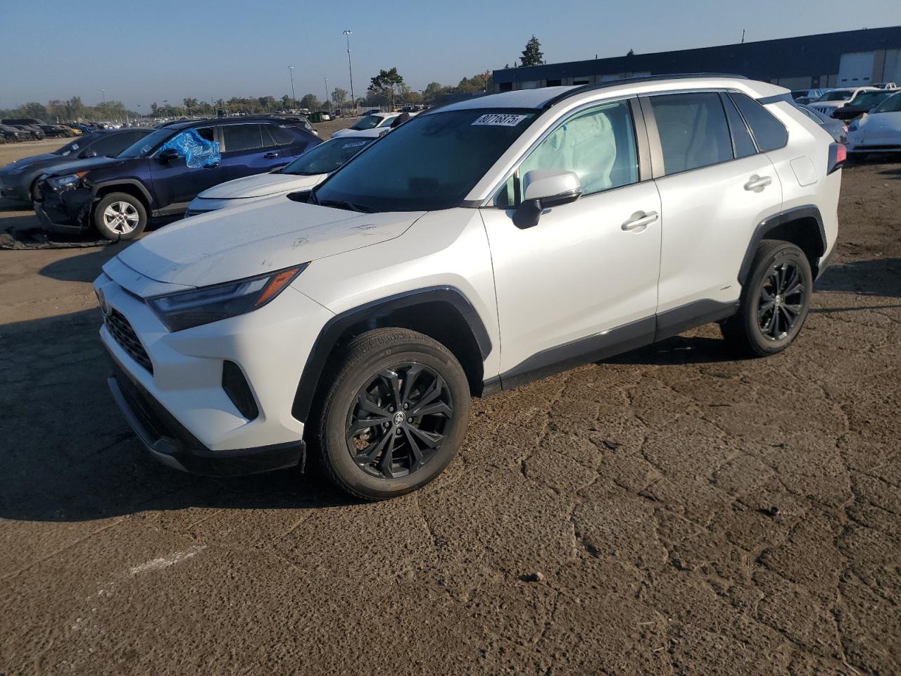 2023 Toyota Rav4 se SE